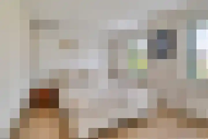 Hoge Weere 94 Zwaag thumbnail 15