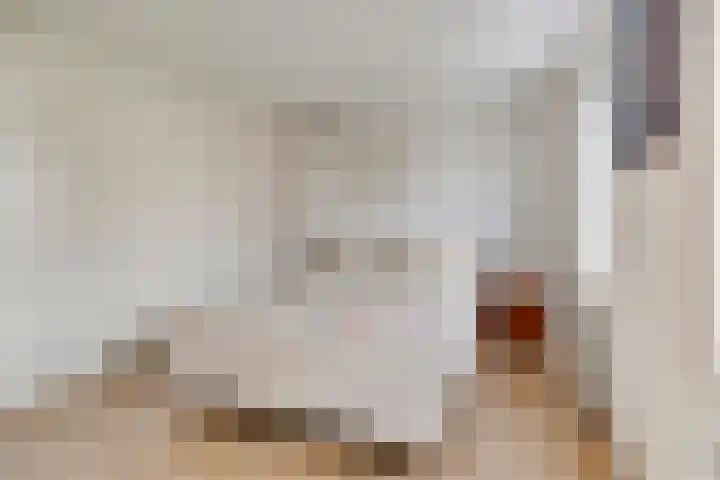 Hoge Weere 94 Zwaag thumbnail 16