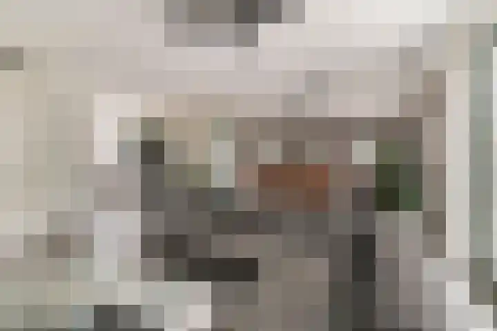 Hoge Weere 94 Zwaag foto 2