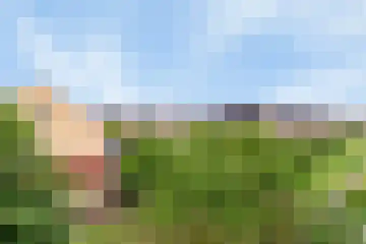 Hoge Weere 94 Zwaag thumbnail 24