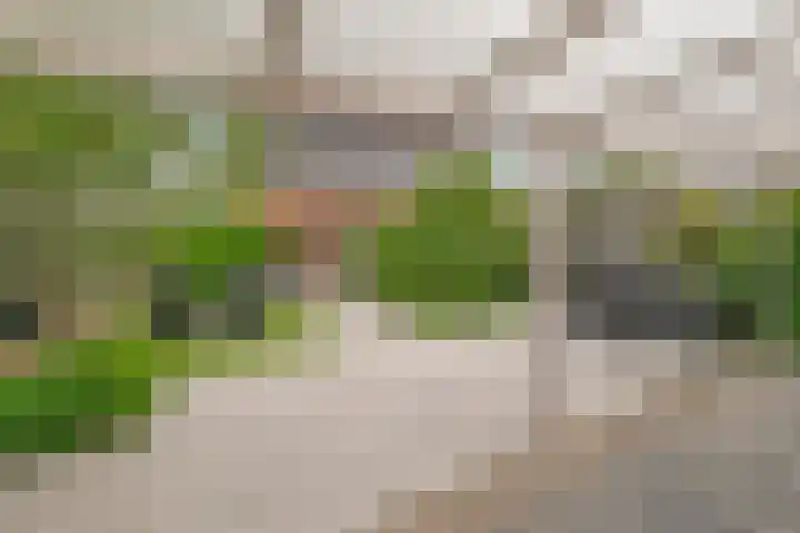 Hoge Weere 94 Zwaag thumbnail 26