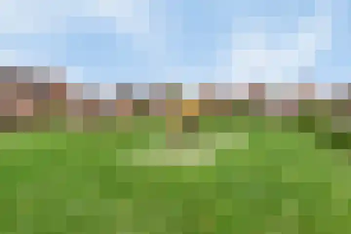Hoge Weere 94 Zwaag thumbnail 30