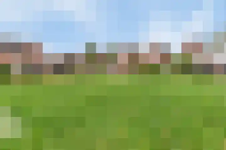 Hoge Weere 94 Zwaag thumbnail 31