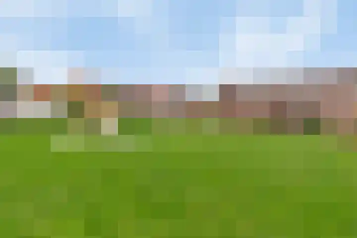Hoge Weere 94 Zwaag thumbnail 32