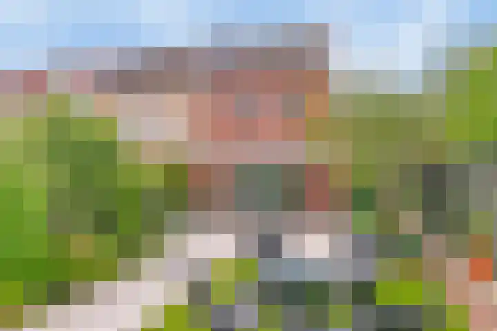 Hoge Weere 94 Zwaag thumbnail 5