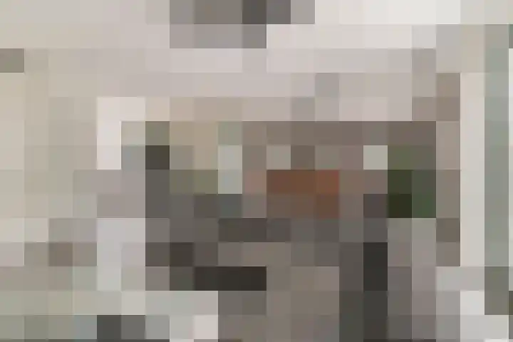 Hoge Weere 94 Zwaag thumbnail 7