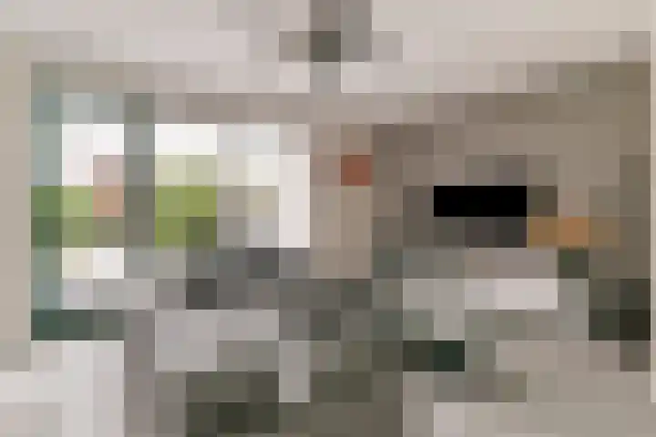 Hoge Weere 94 Zwaag thumbnail 8
