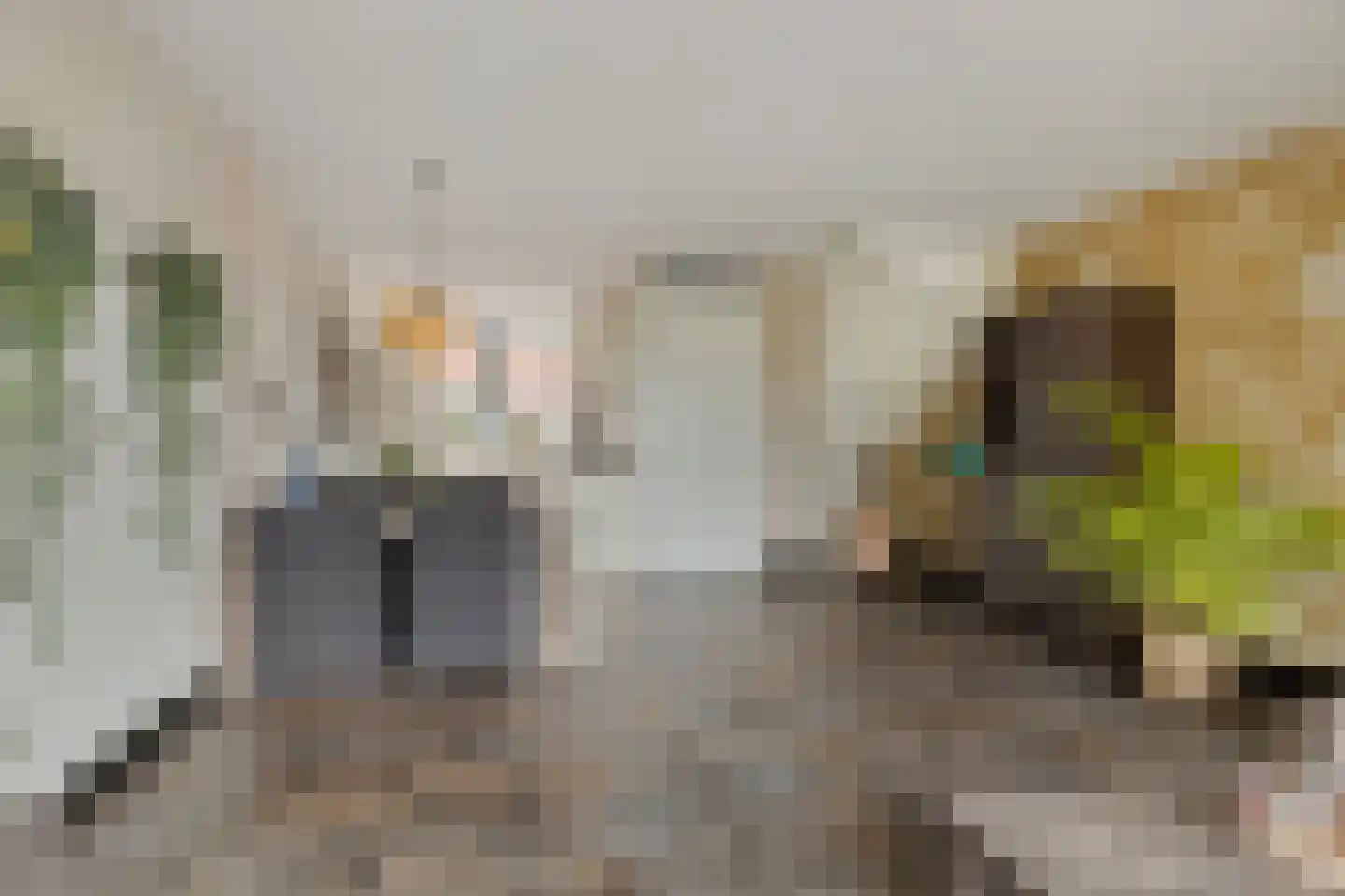 Hoge Weere 98 Zwaag thumbnail 11
