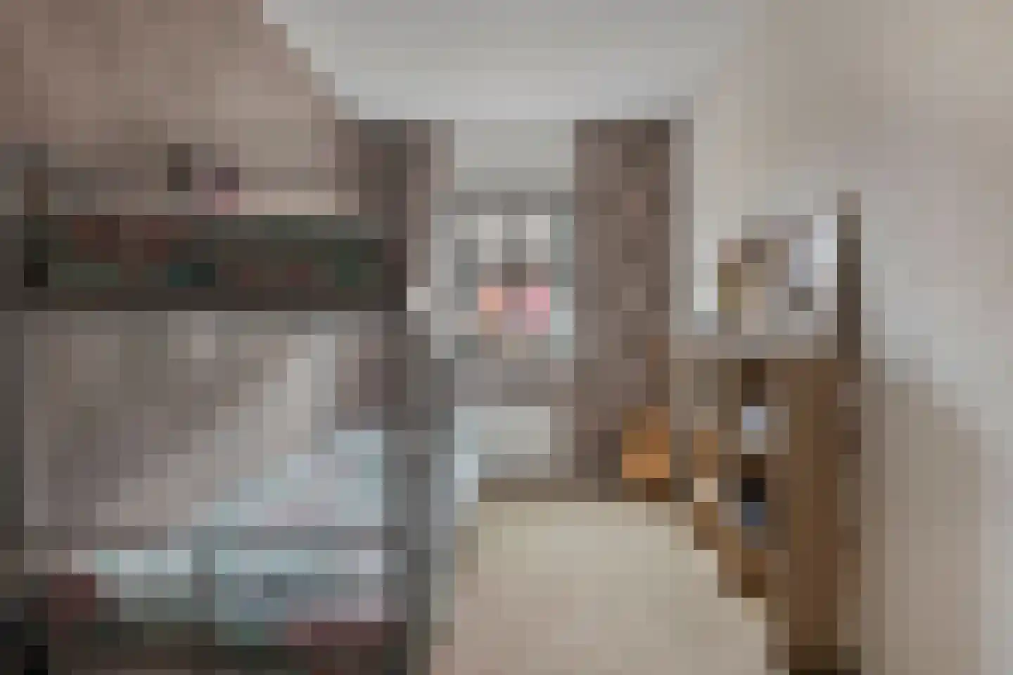 Hoge Weere 98 Zwaag thumbnail 23