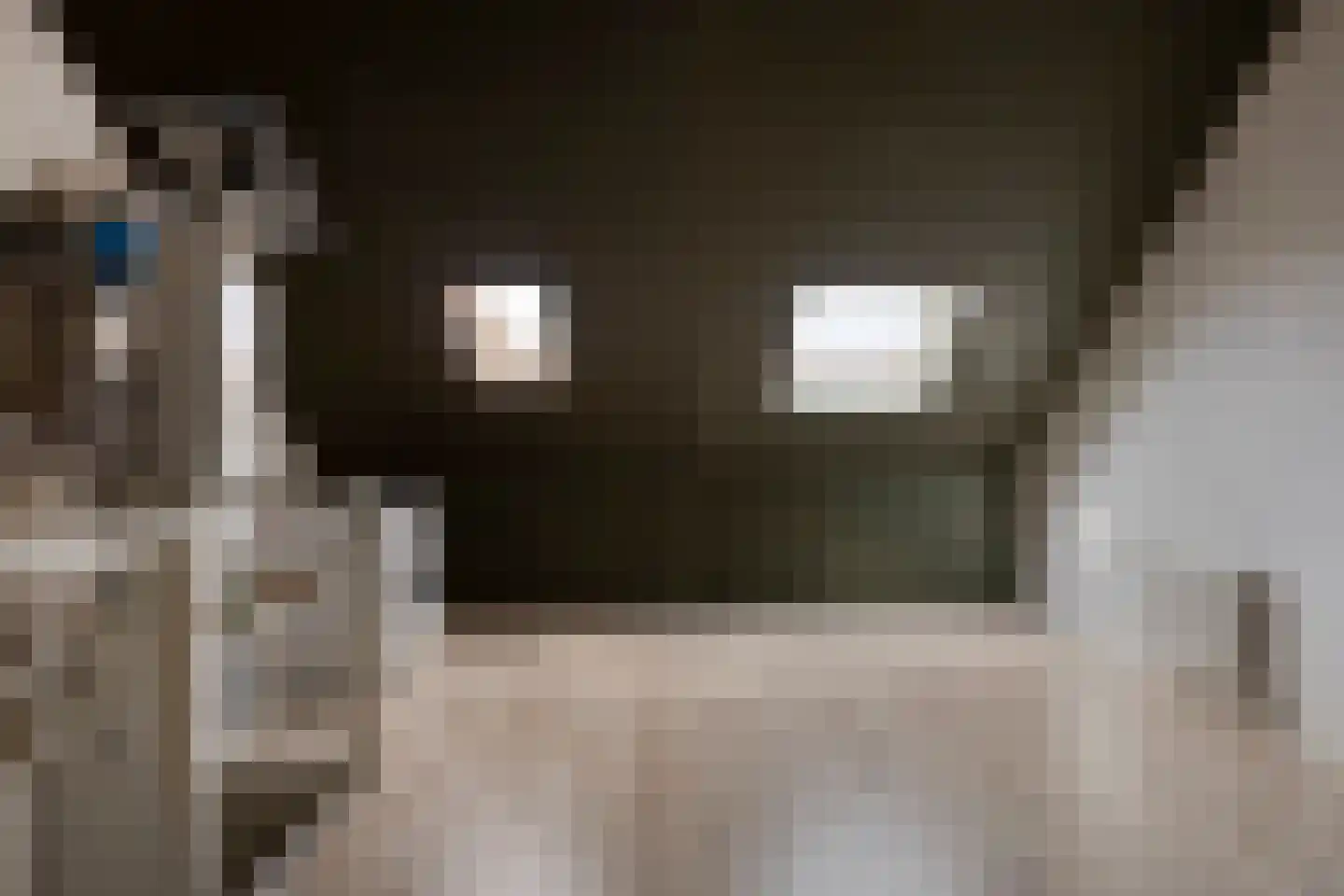 Hoge Weere 98 Zwaag thumbnail 25
