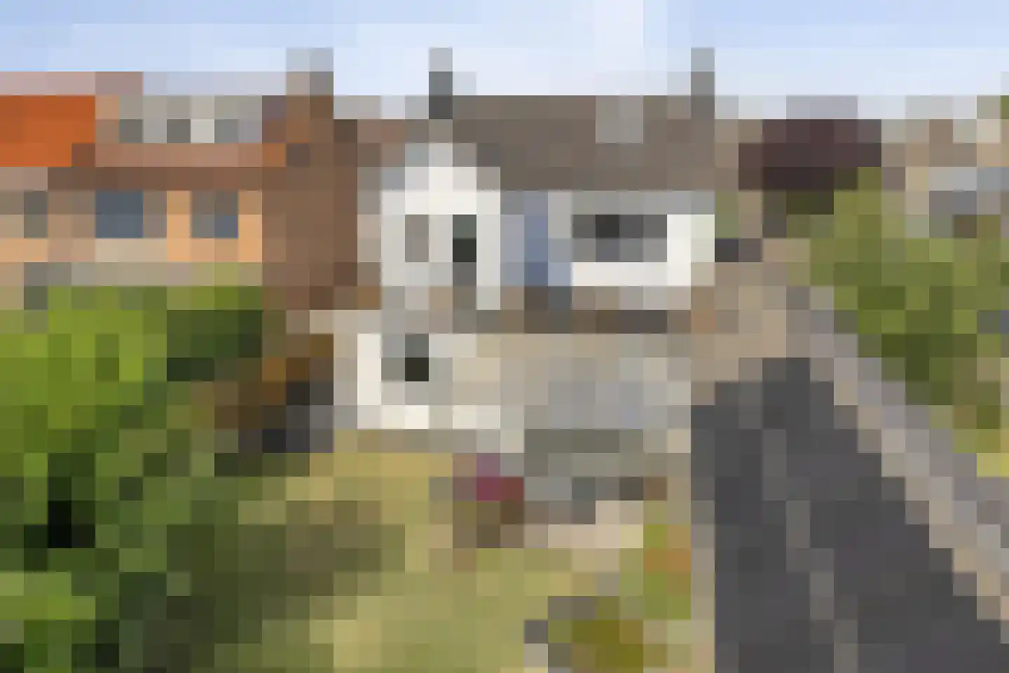 Hoge Weide 30 Prinsenbeek thumbnail 29