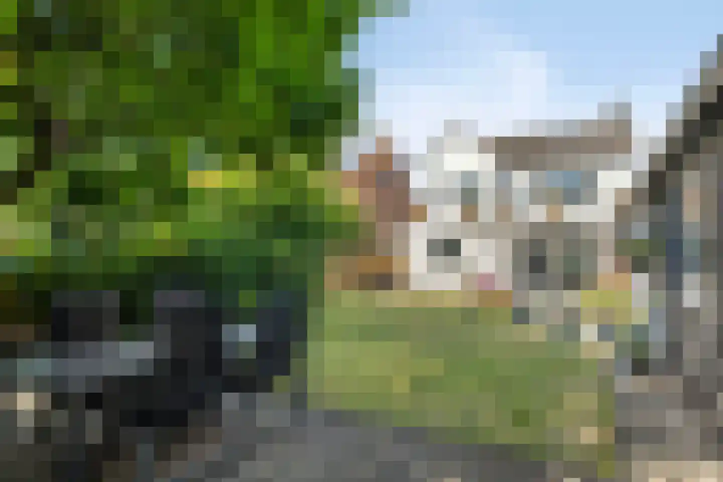 Hoge Weide 30 Prinsenbeek thumbnail 4