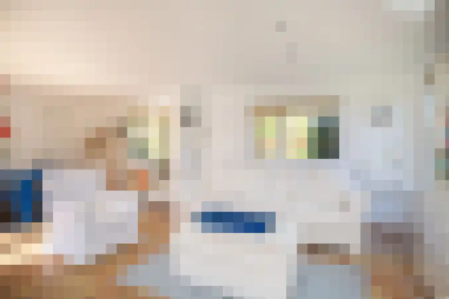 Hoge Weide 49 Oostkapelle thumbnail 12
