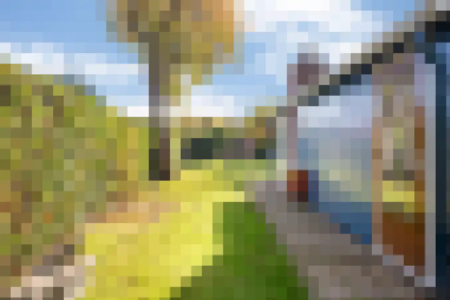 Hoge Weide 49 Oostkapelle thumbnail 35
