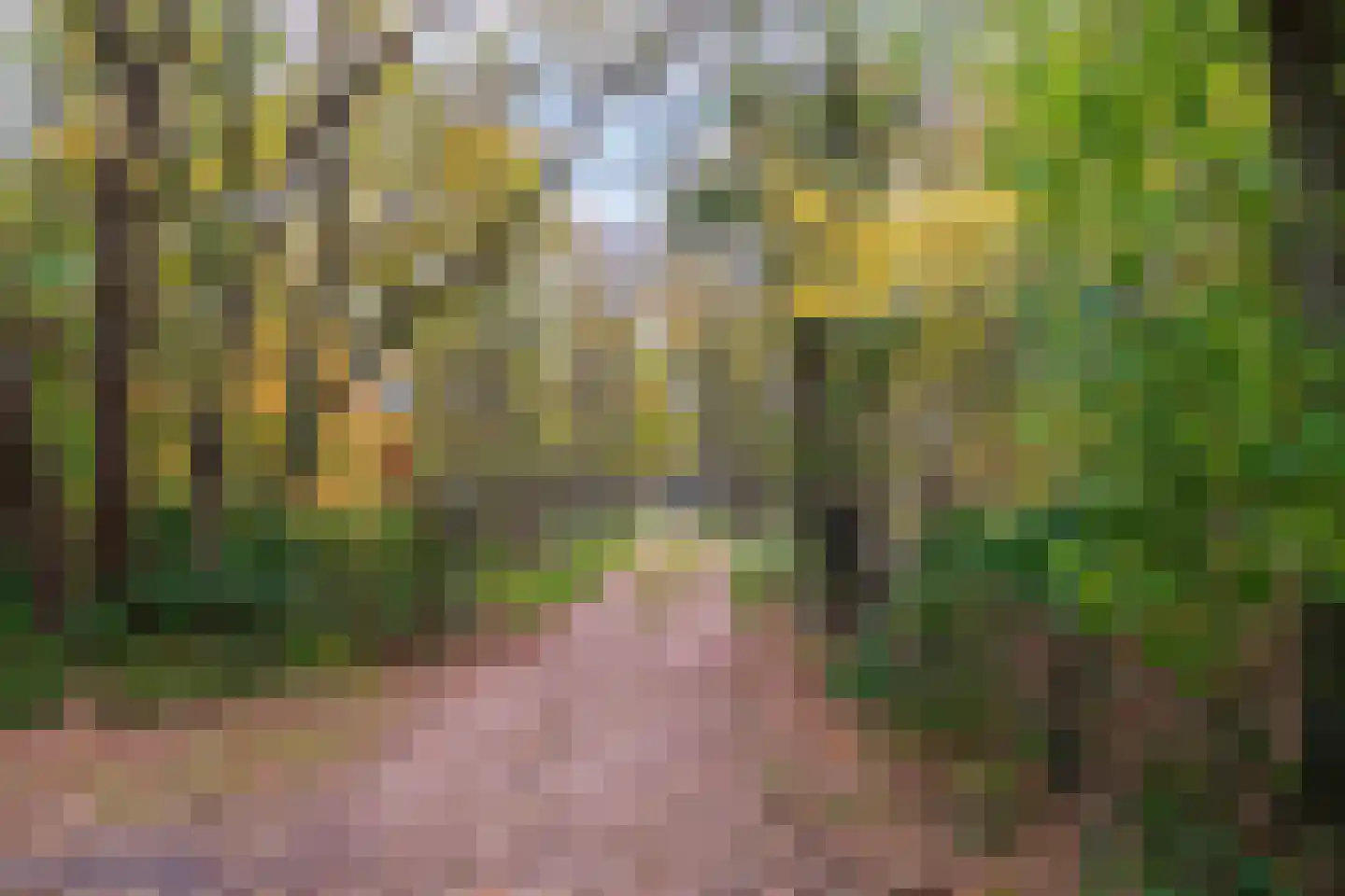 Hoge Weide 49 Oostkapelle thumbnail 41