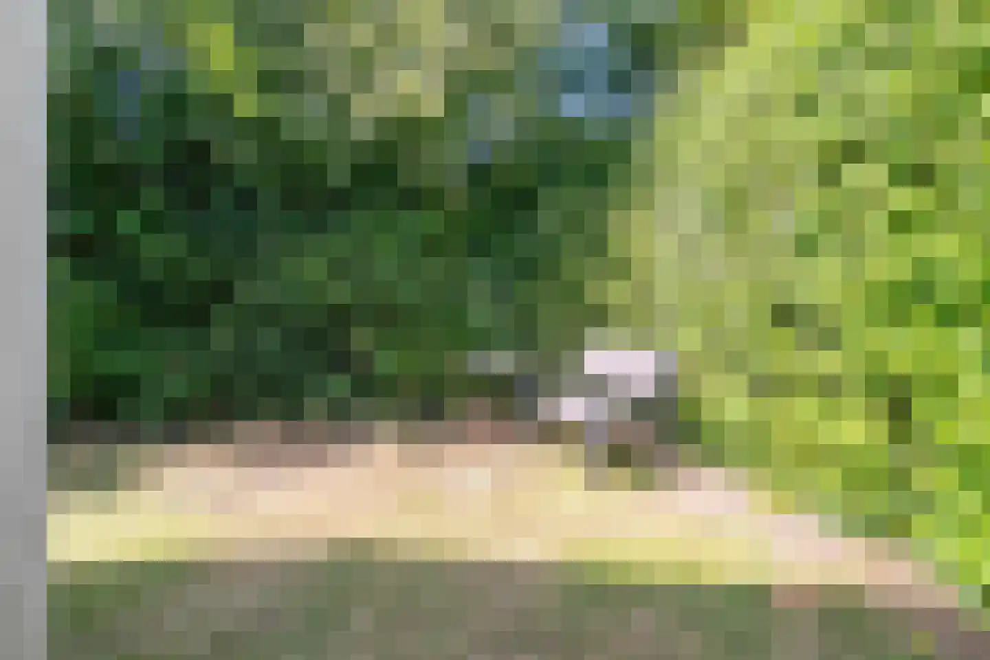 Hoge Weide 54 Oostkapelle thumbnail 21