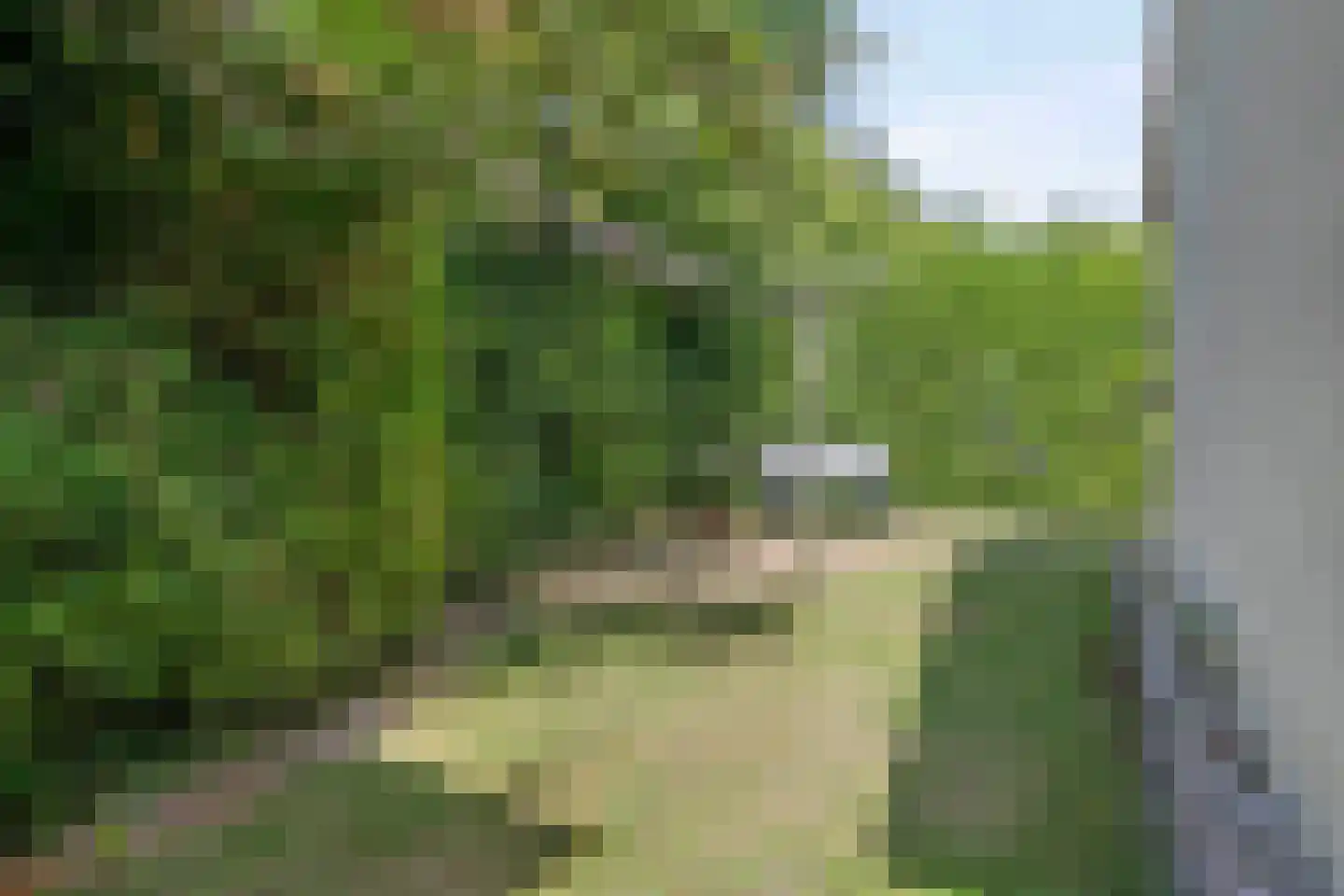 Hoge Weide 54 Oostkapelle thumbnail 22