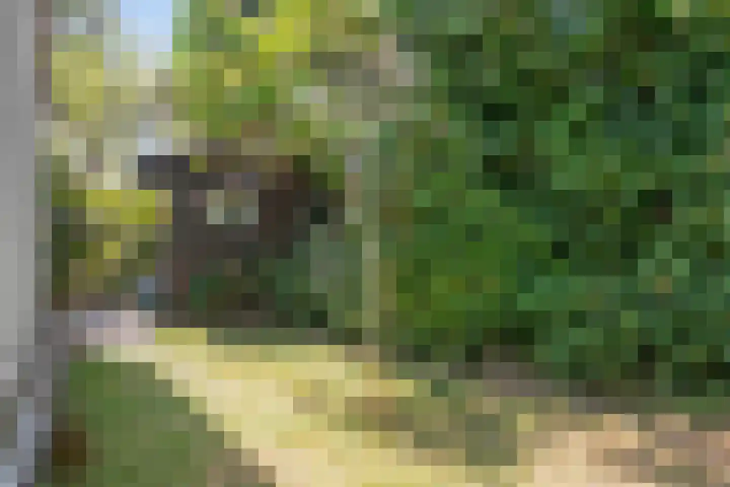 Hoge Weide 54 Oostkapelle thumbnail 23