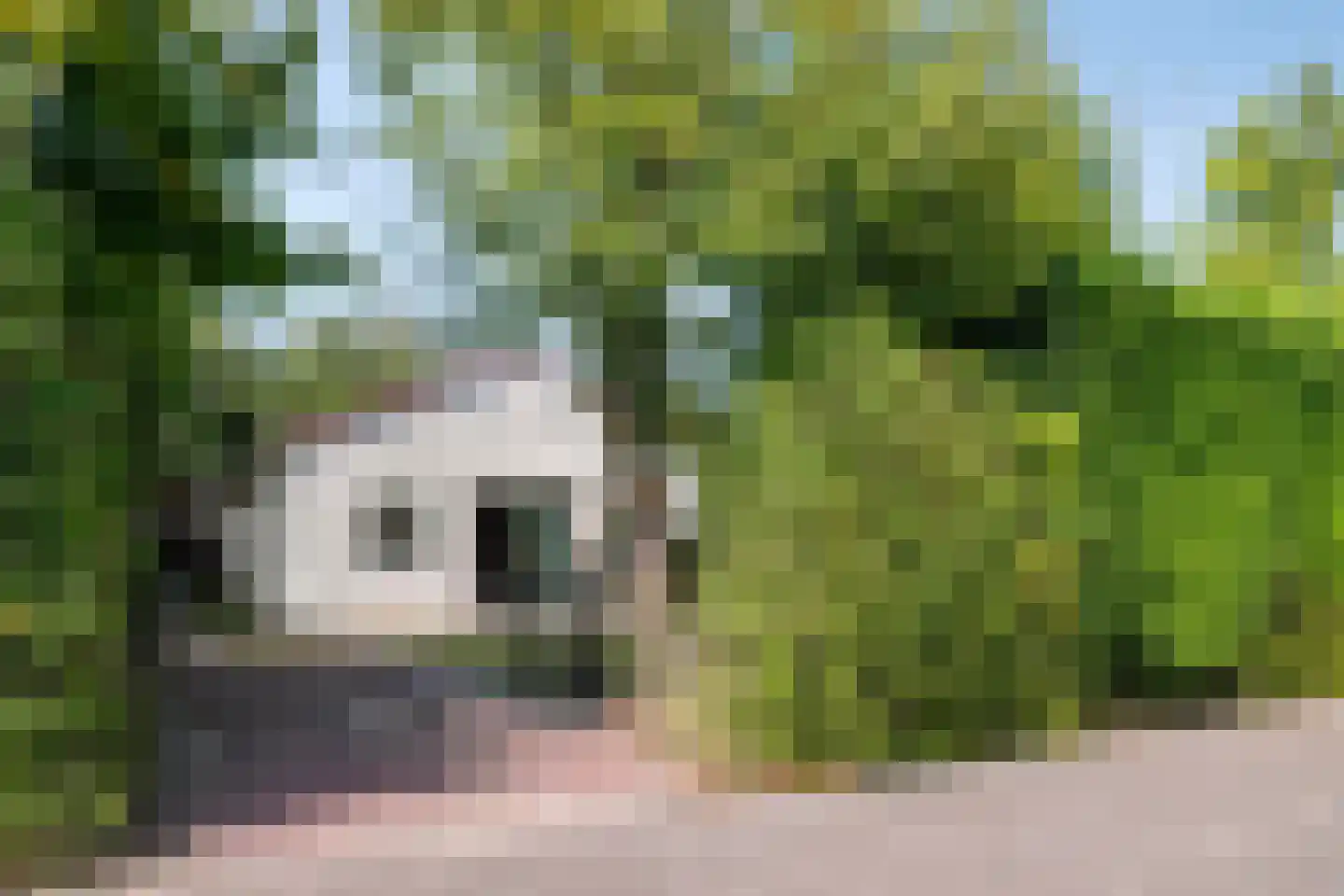 Hoge Weide 54 Oostkapelle thumbnail 5