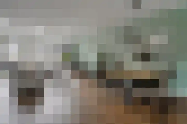 Hoge weidesingel 3 B Valkenburg thumbnail 12