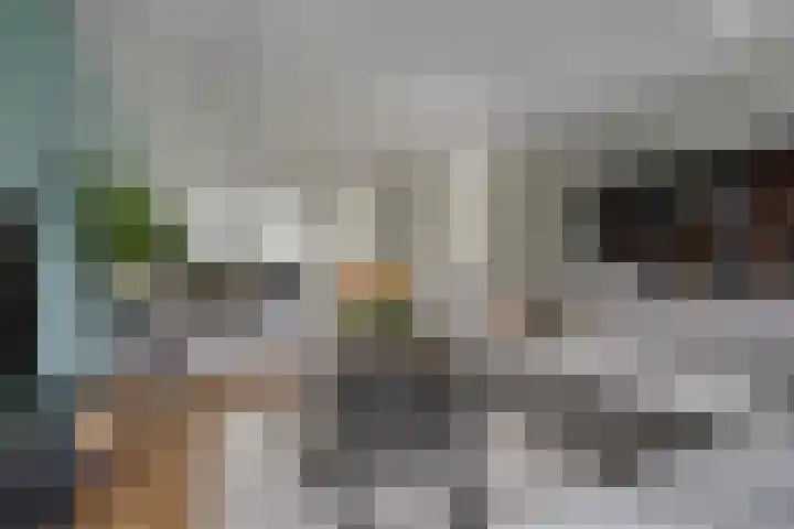 Hoge weidesingel 3 B Valkenburg thumbnail 14
