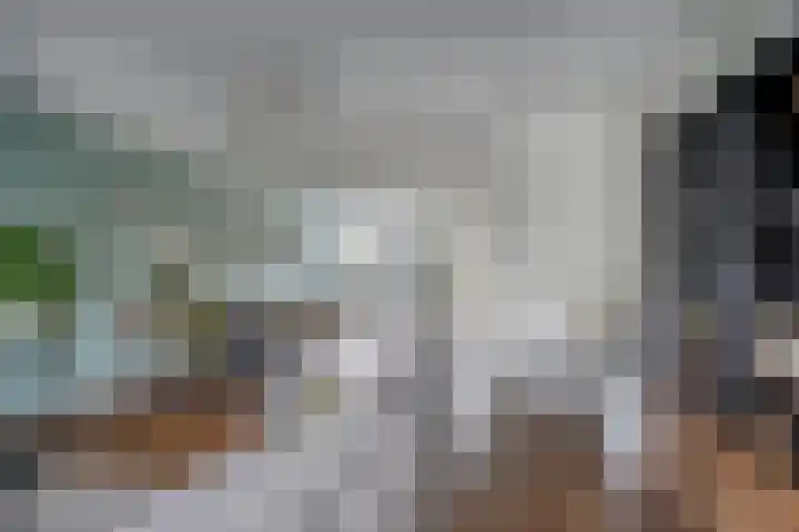 Hoge weidesingel 3 B Valkenburg thumbnail 15