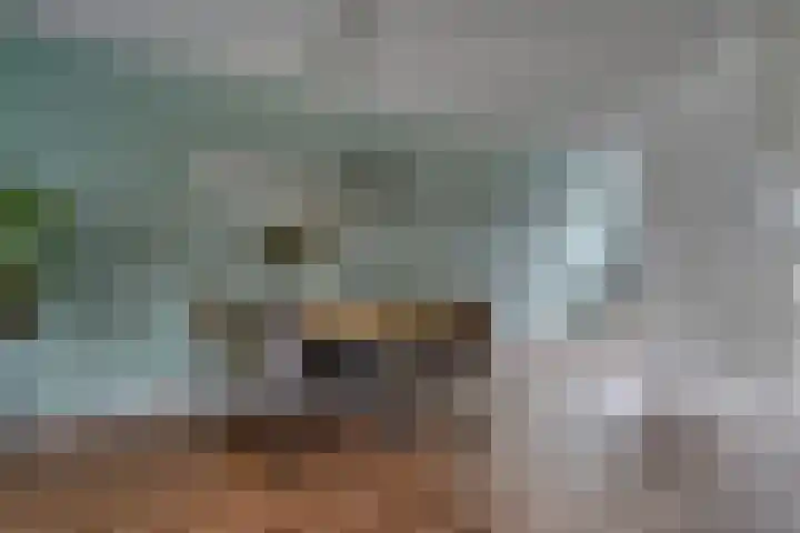 Hoge weidesingel 3 B Valkenburg thumbnail 16