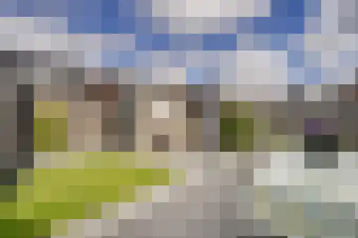 Hoge weidesingel 3 B Valkenburg thumbnail 36