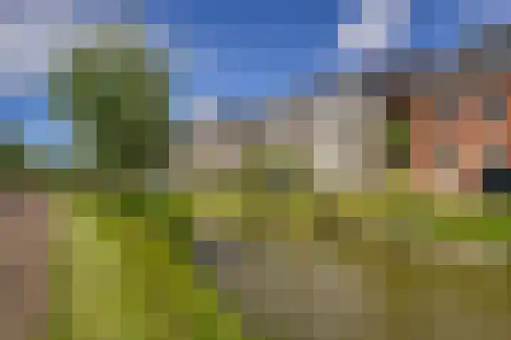 Hoge weidesingel 3 B Valkenburg thumbnail 43