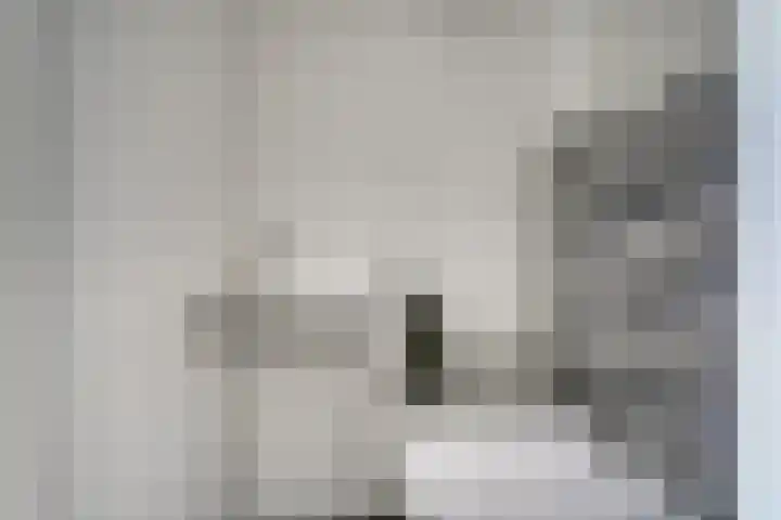 Hoge weidesingel 3 B Valkenburg thumbnail 8
