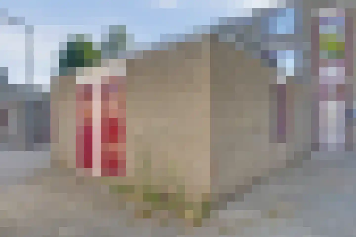 Hoge Weije 108 Hoogvliet Rotterdam thumbnail 24