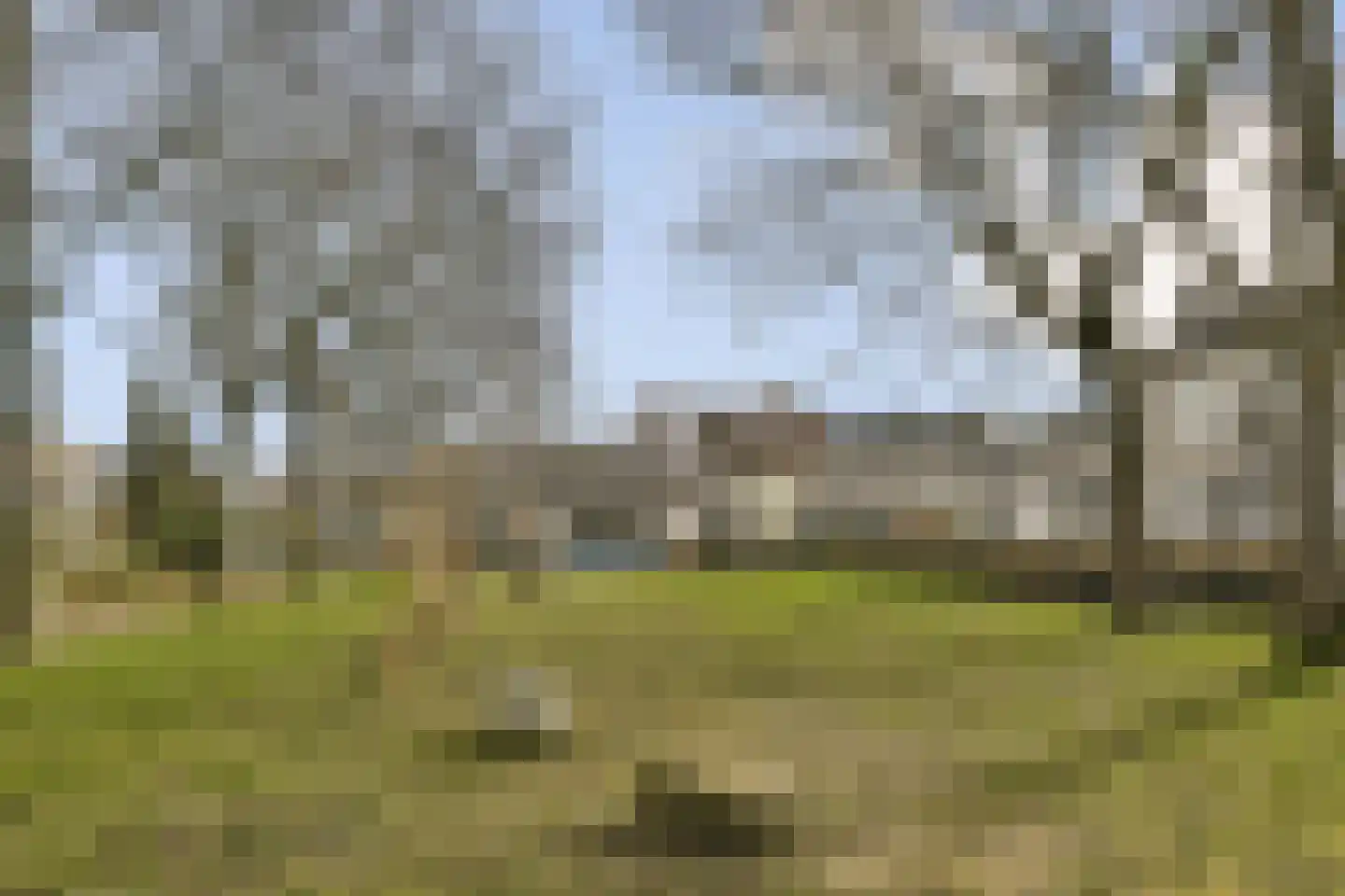 Hoge Weije 124 Hoogvliet Rotterdam thumbnail 23