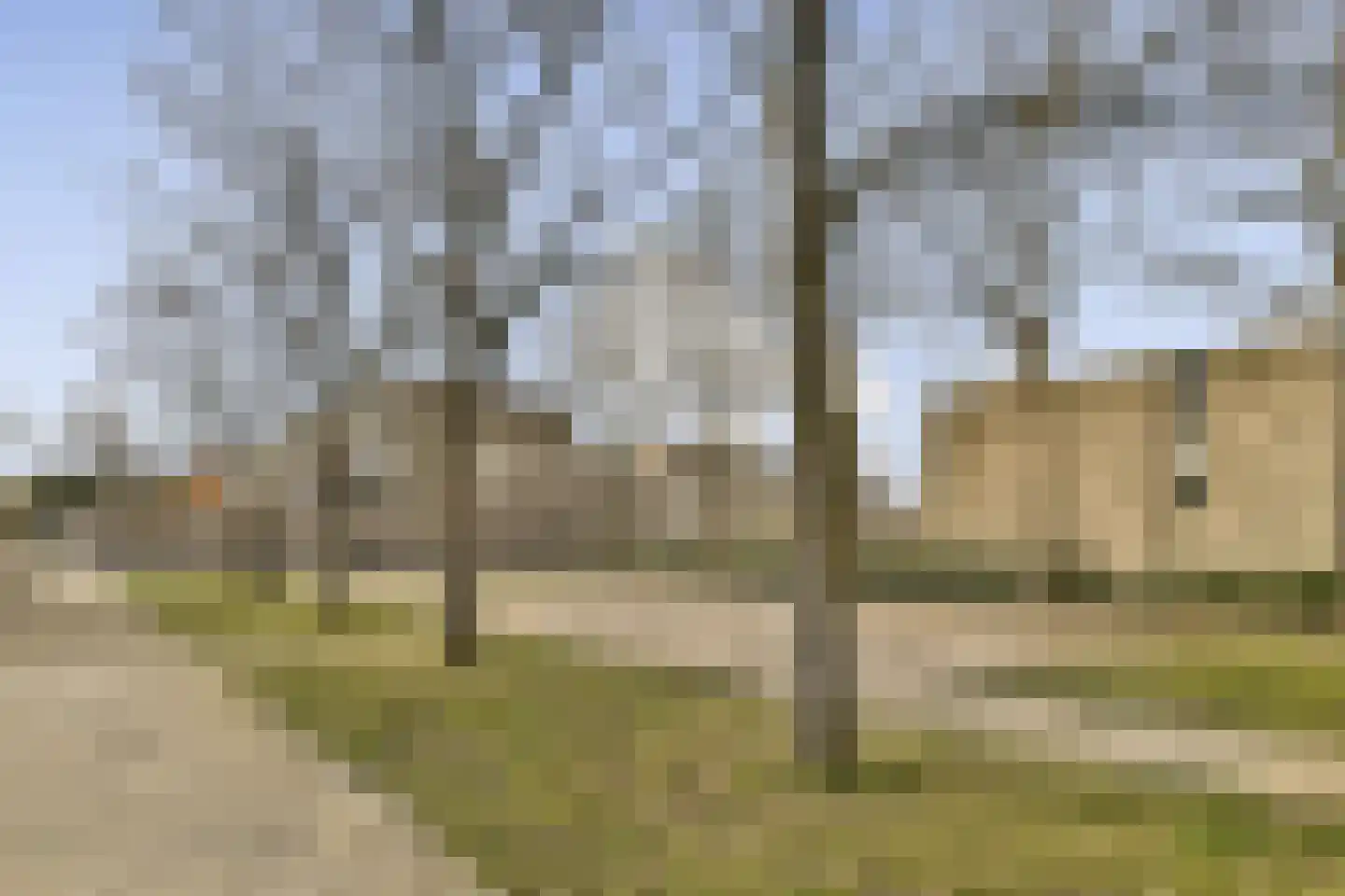 Hoge Weije 124 Hoogvliet Rotterdam thumbnail 24