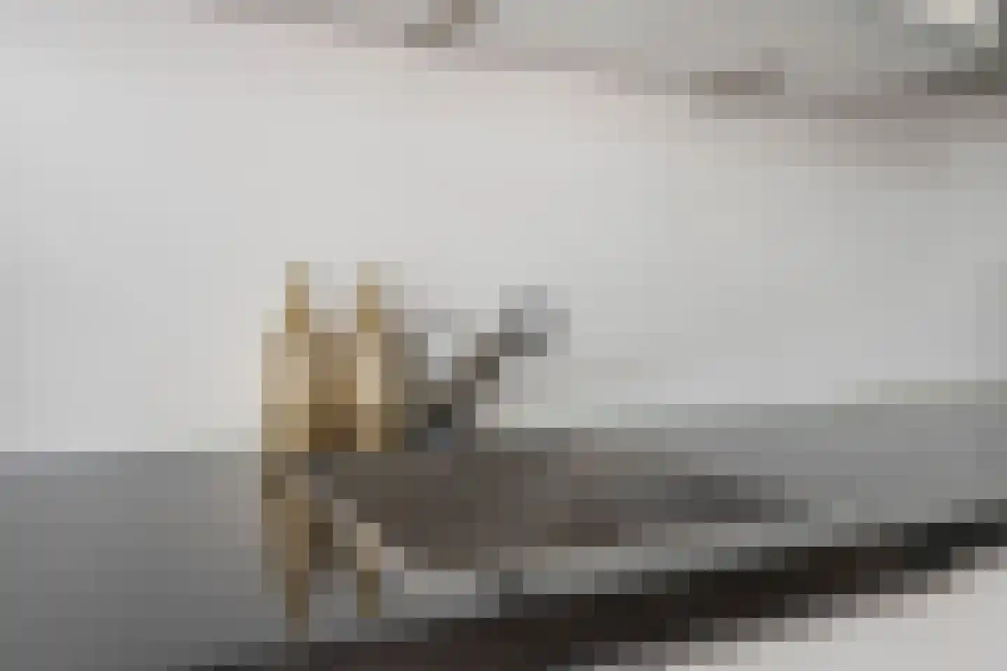 Hoge Weije 90 Hoogvliet Rotterdam thumbnail 15