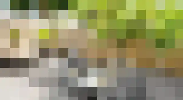 Hoge Weije 90 Hoogvliet Rotterdam thumbnail 34