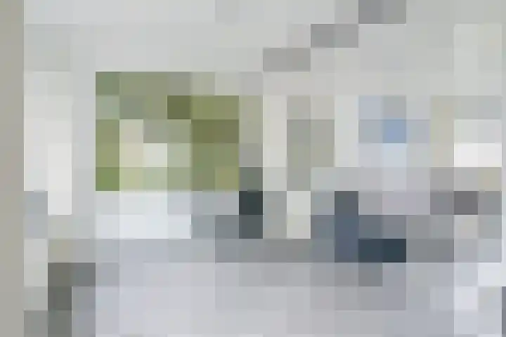 Hoge Werf 10 Opperdoes thumbnail 11