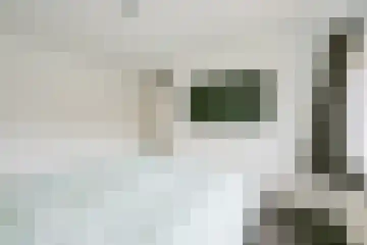 Hoge Werf 10 Opperdoes thumbnail 15