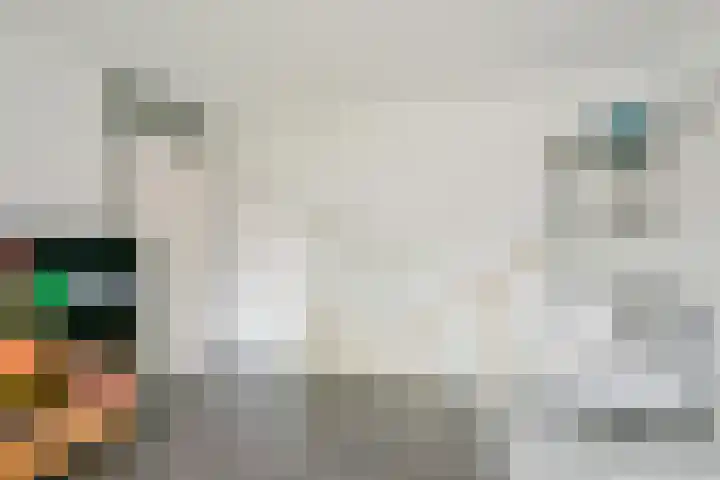 Hoge Werf 10 Opperdoes thumbnail 17