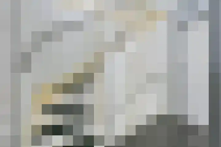 Hoge Werf 10 Opperdoes thumbnail 22