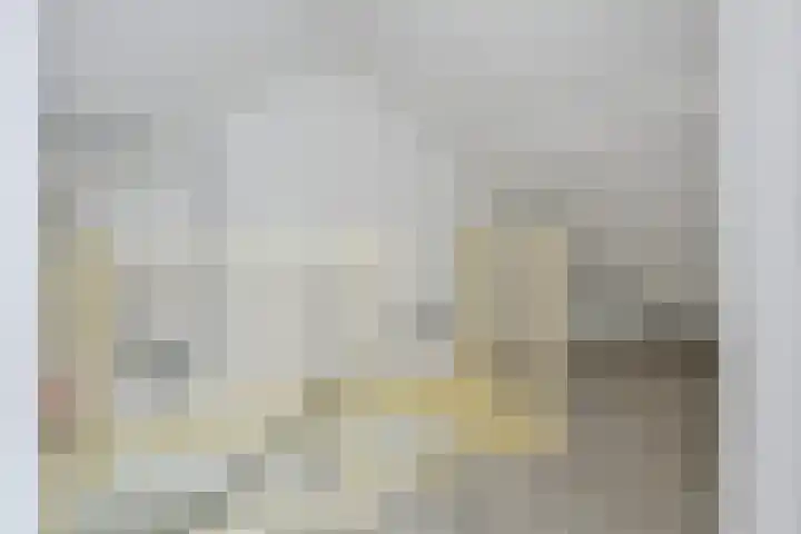 Hoge Werf 10 Opperdoes thumbnail 25