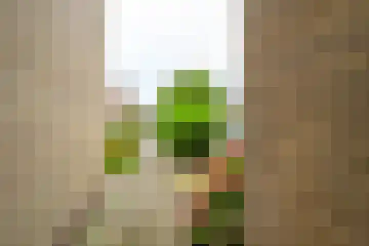 Hoge Werf 10 Opperdoes thumbnail 30