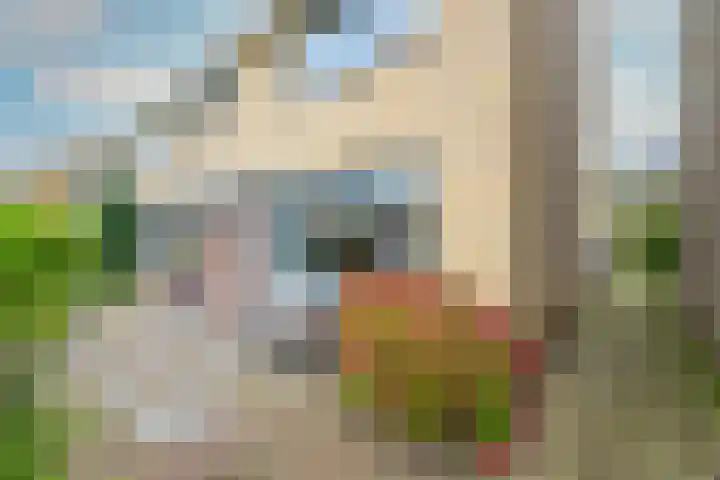 Hoge Werf 10 Opperdoes thumbnail 31