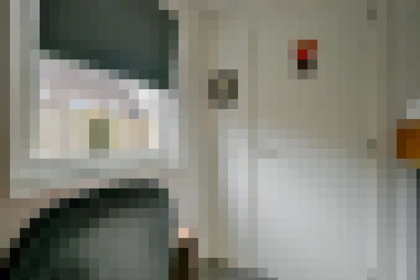 Hoge Werf 2 Opperdoes thumbnail 18