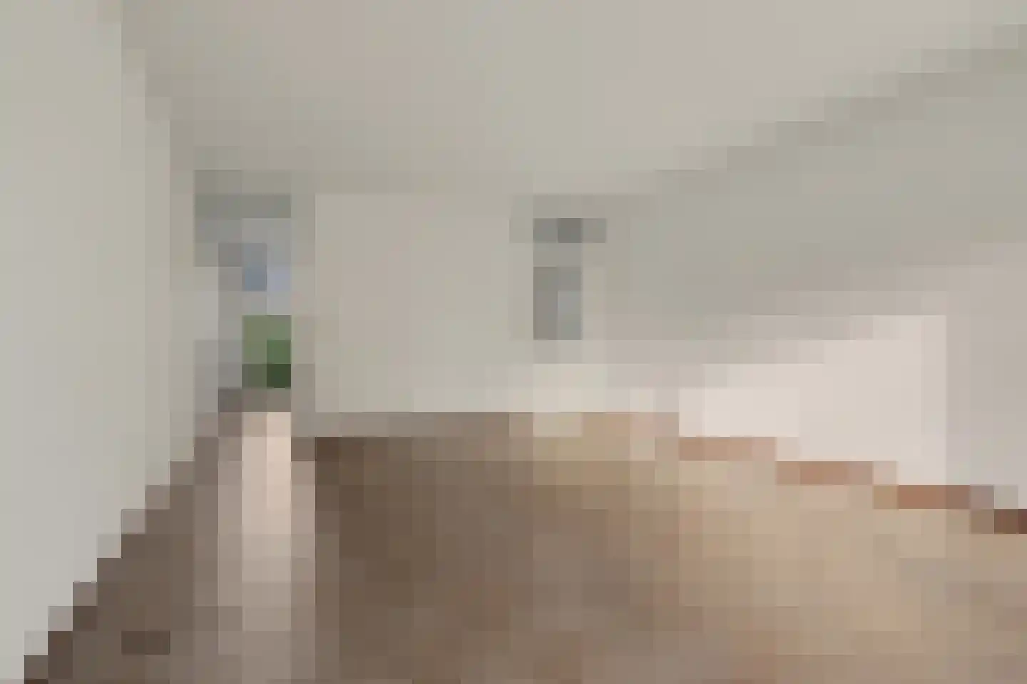 Hoge Witsiestraat 56 Tilburg thumbnail 10