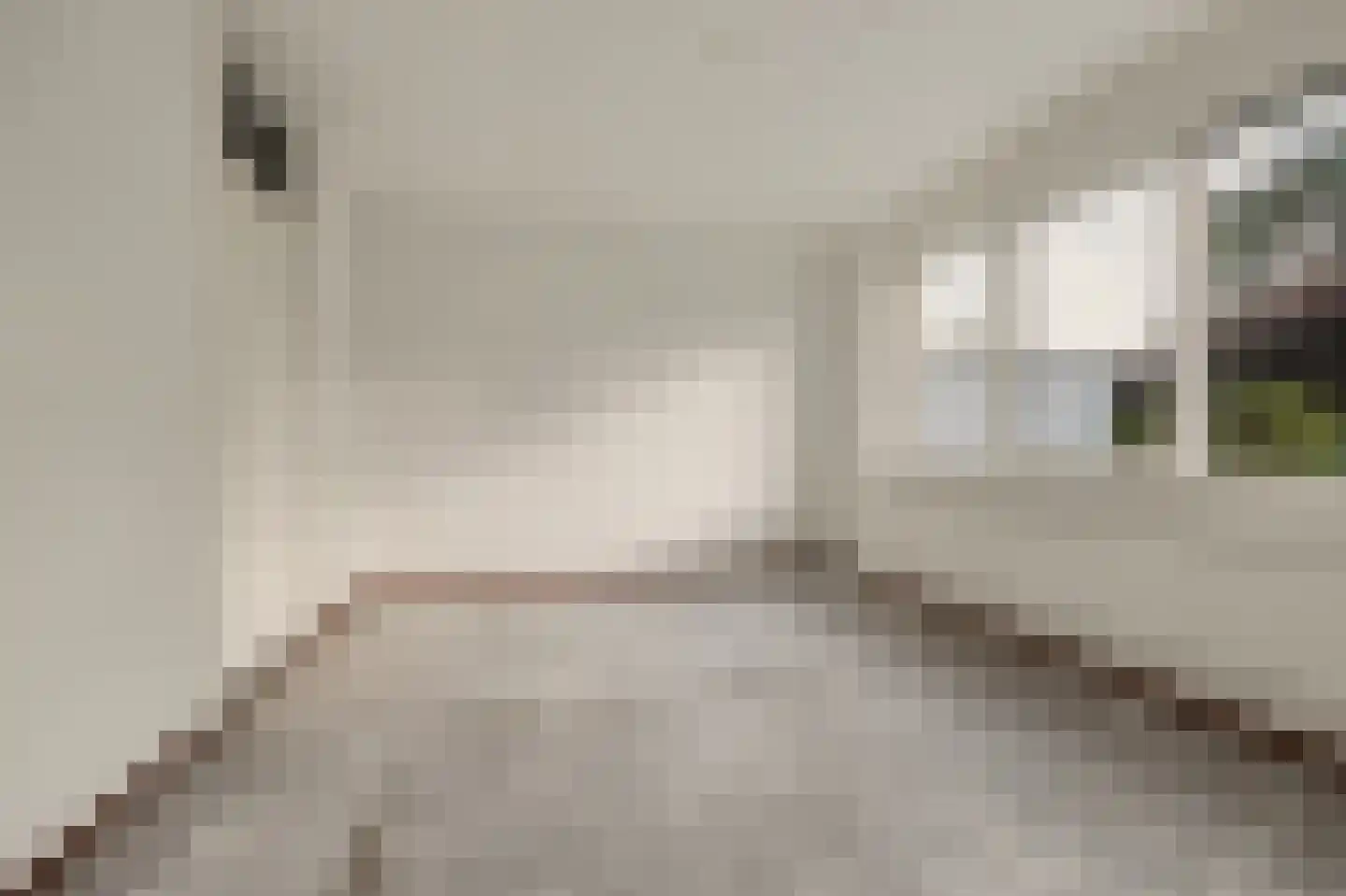 Hoge Witsiestraat 56 Tilburg thumbnail 14