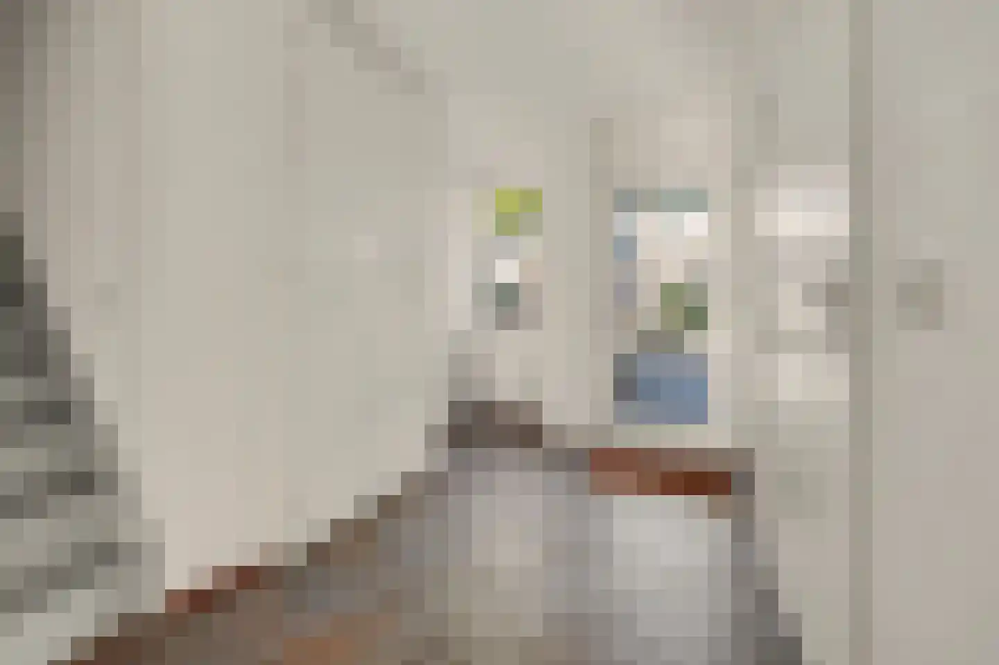 Hoge Witsiestraat 56 Tilburg thumbnail 6