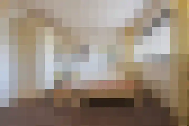Hoge Witsiestraat 81 Tilburg thumbnail 17