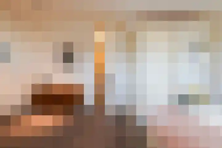 Hoge Witsiestraat 81 Tilburg thumbnail 19