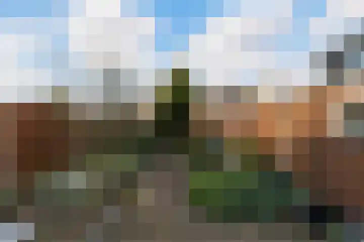 Hoge Witsiestraat 81 Tilburg thumbnail 32
