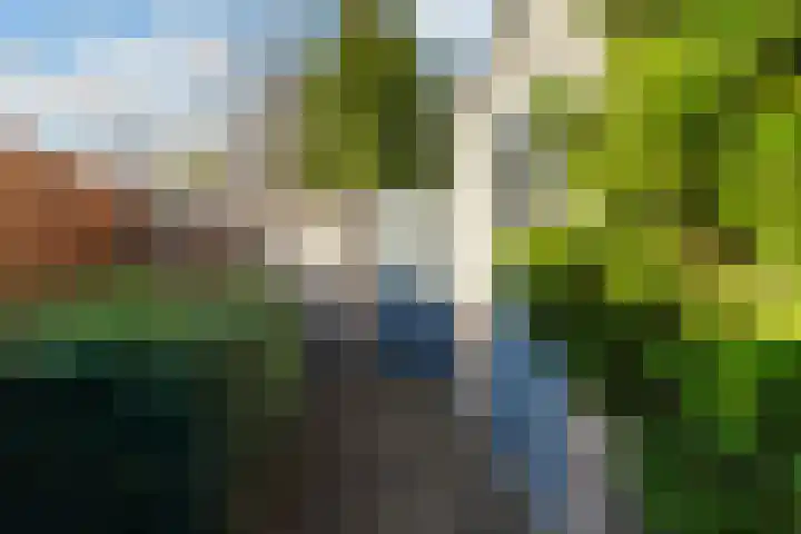 Hoge Witsiestraat 81 Tilburg thumbnail 34